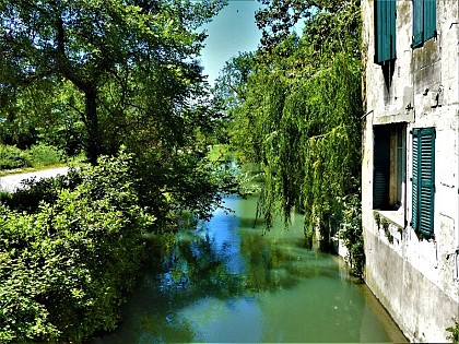 Vigueirat Canal