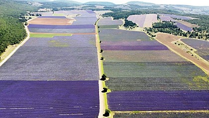 Le plateau de champ-long