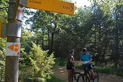 Le Bois du Défends à Sault
