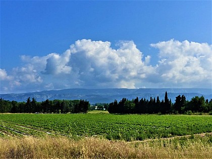 Vue sur le Petit Luberon