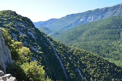 Reboisement du Mont-Ventoux