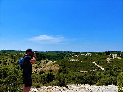 The Montagnette
