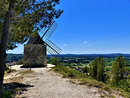 Bonnet Windsmill