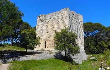 The castrum of Saint-Gabriel