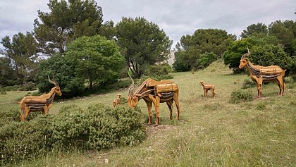 Reines des troupeaux