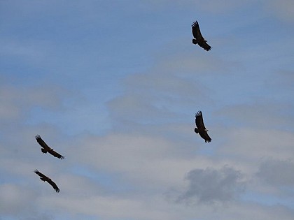 The gravedigger, a true lord...