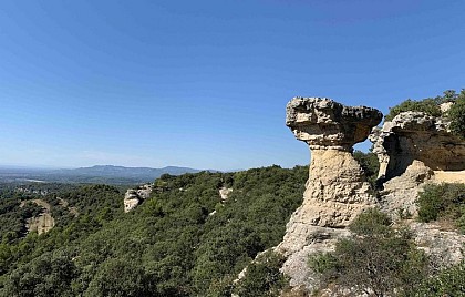 La demoiselle coiffée de Saint-Gens