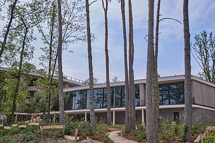 Loisium Wine & Spa Hotel