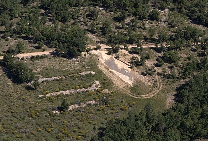 Pattern imprinted concrete from Viens