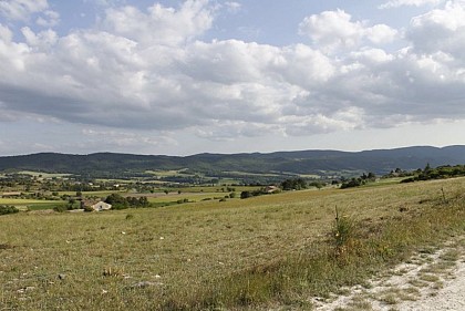 Les Craux, royaume des moutons