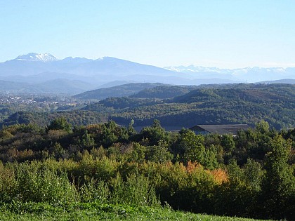 La balade aux oiseaux