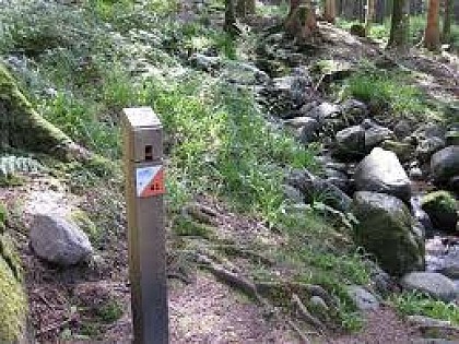 Les parcours d'orientation à Vagney