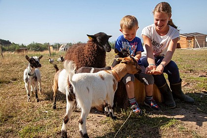 La Ferme du Jardin, conservatoire des animaux normands