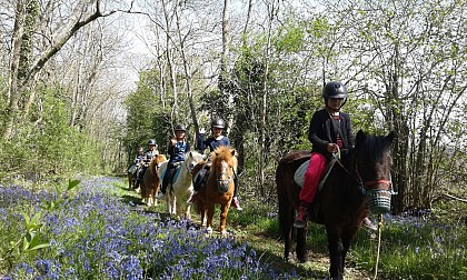 Poney-Club de Saint-Julien