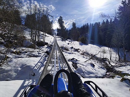 Rail sled - Tricky Track