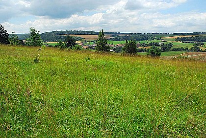 PELOUSE CALCAIRE DE LA BOSSE