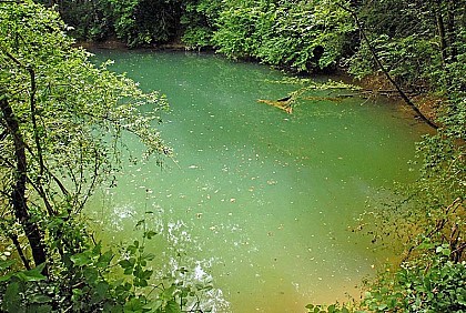 PELOUSE SECHE DU CREUX JANIN
