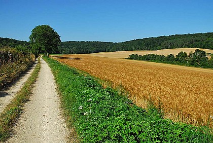 MARAIS DE LA COMBE DES RIOTS