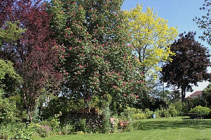 Un Jardin pour tous les Sens