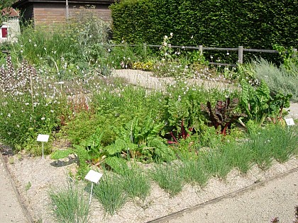 LE JARDIN DU CHATEAU