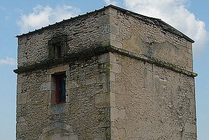 COLOMBIER DU CHATEAU DE POINSON-LES-GRANCEY