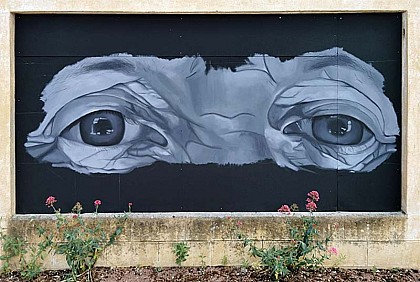 LES YEUX DE LAURETTE