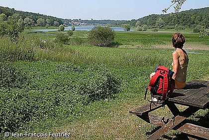 AIRE DE PIQUE-NIQUE DU LAC DE LA MOUCHE - PERRANCEY