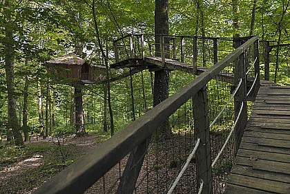 L'ARBRE A CABANE