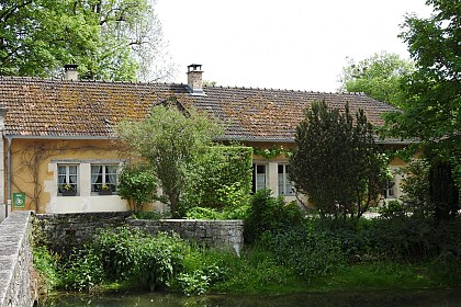 Mme Geneviève DE ROUVRE