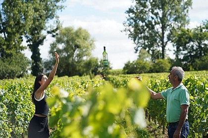 Château Clos Belle Rive