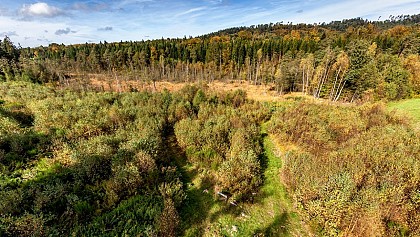 Tourbière de la Basse Saint-Jean