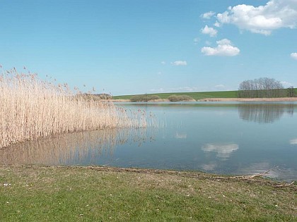 SENSITIVE NATURAL SPACE OF THE PARROY POND