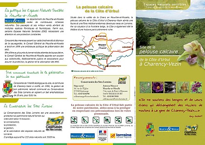 Pelouse calcaire de charency vezin