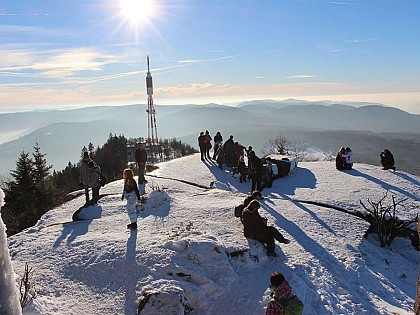 MASSIF FORESTIER DU DONON