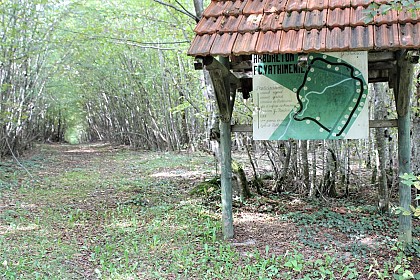 Arboretum de Vathiménil