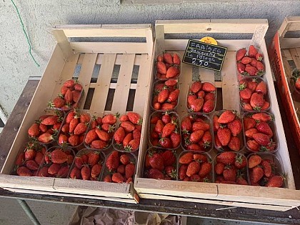 Le Potager de Bellevue