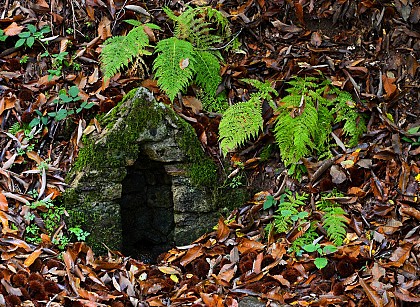 Les bonnes fontaines de Courbefy