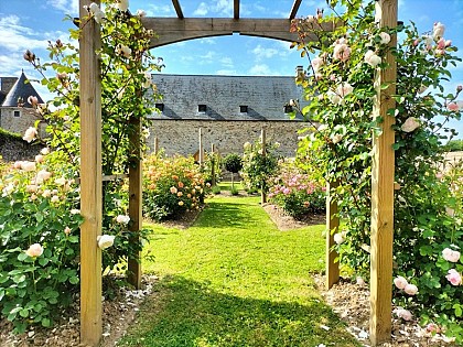 Roseraie "David Austin" du Château de Montfort