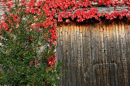 Aire de pique-nique - Cour de la mairie
