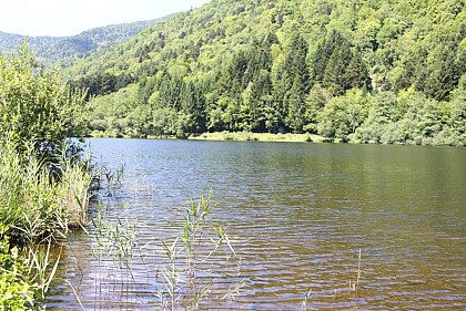 Pêche au lac de Sewen
