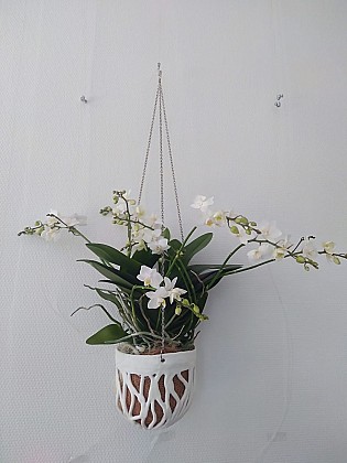 ATELIER SANDRINE SUERES