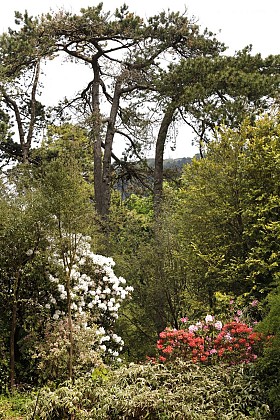 PARC DE LA FAUCONNI7RE (à proximité)