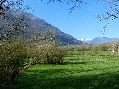 Vue sur les contreforts des Pyrénées