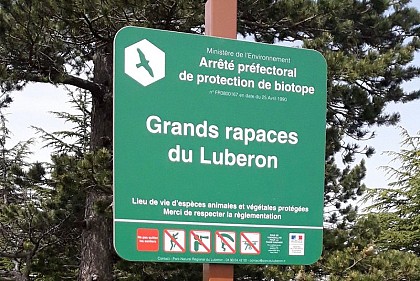 Petit Luberon, the Mecca of biodiversity