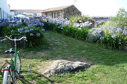 Chambre d'hôtes Bernache à Port Joinville, sur l'Ile d'Yeu en Vendée