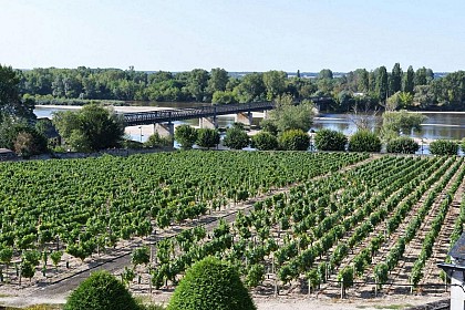 Gîte Loire et Vignoble