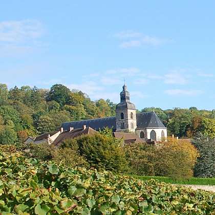 Abbaye Saint-Pierre d'Hautvillers (Propriété privée)