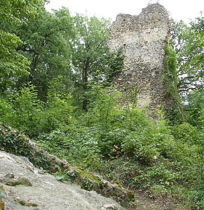 Château de la Robertière