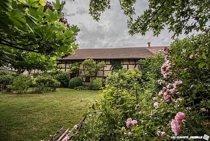 Arboretum de la Maison Güth