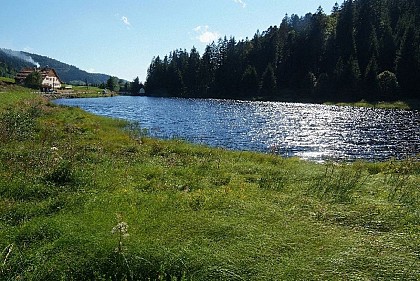 Les tourbières de Lispach et de la Ténine à La Bresse
